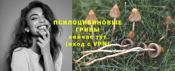 Альфа ПВП Алзамай