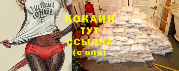 кокс Алексин