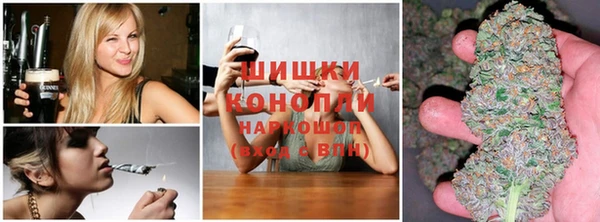 Альфа ПВП Алзамай